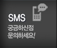 안양렌트카 SMS